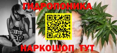 ГАЛЛЮЦИНОГЕННЫЕ ГРИБЫ Обь