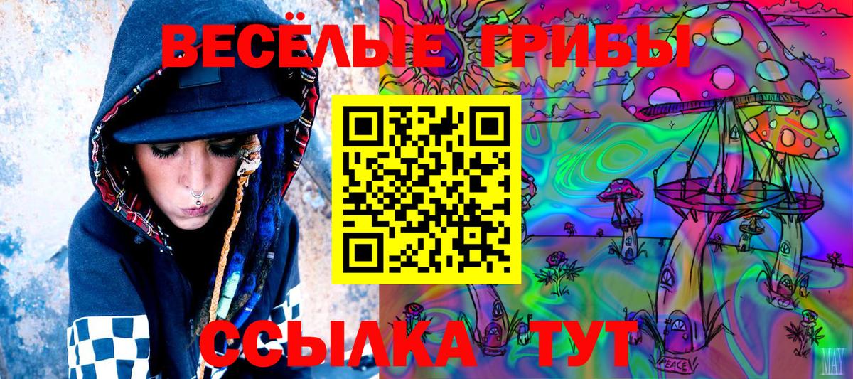 Галлюциногенные грибы Psilocybe  Вход с VPN  Солнечногорск 